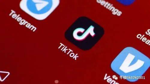 海外版tiktok加速器（tiktok国际版加速器免费）